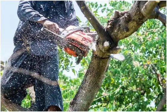 tree services Lovingston